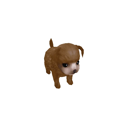 puppy Poodle skin